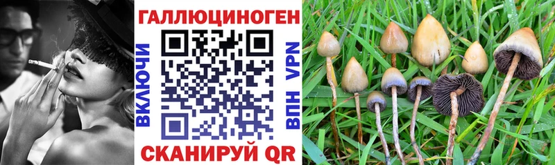 Галлюциногенные грибы прущие грибы  Новоалтайск 